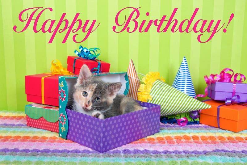 139 Gatto Di Buon Compleanno Foto Foto Stock Gratis E Royalty Free Da Dreamstime