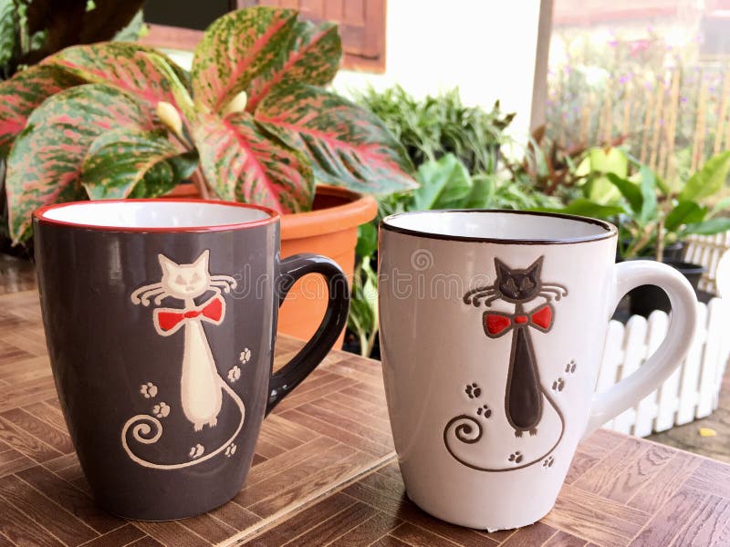 Gatto nero e gatto bianco immagine stock libera da diritti Gatto nero e gatto bianco immagine stock libera da diritti