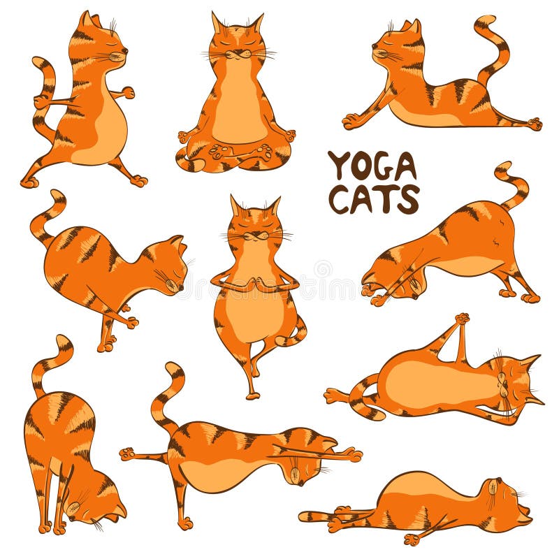 Gatto Rosso Divertente Che Fa Posizione Di Yoga Illustrazione Vettoriale Illustrazione Di Ginnastica Fumetto