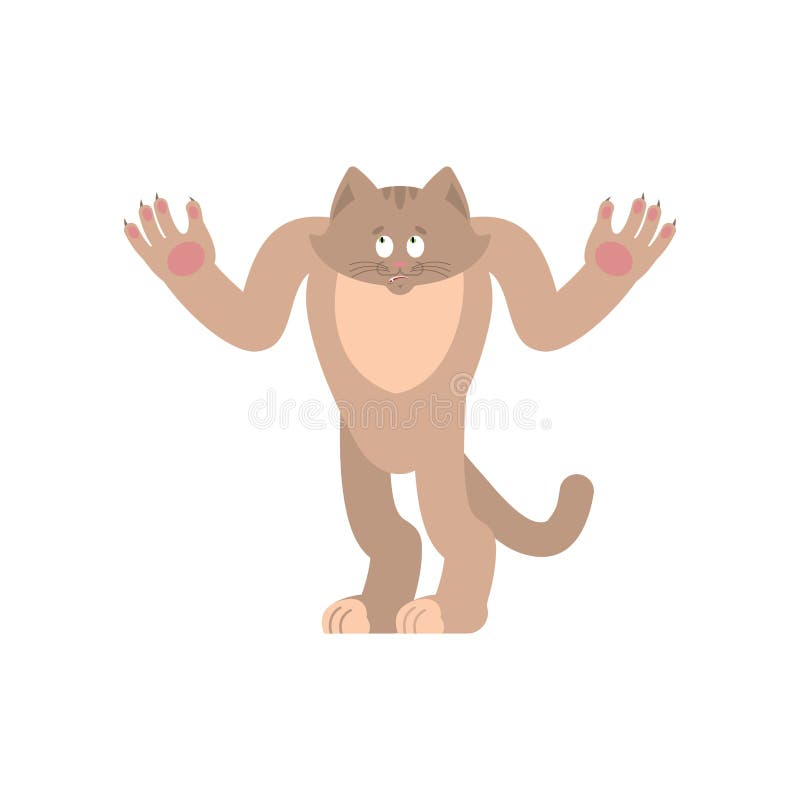 Gatto sconcertante oops Emozioni perplesse dell'animale domestico sorpresa del gattino Vecto illustrazione di stock Gatto sconcertante oops Emozioni perplesse dell'animale domestico sorpresa del gattino Vecto illustrazione di stock