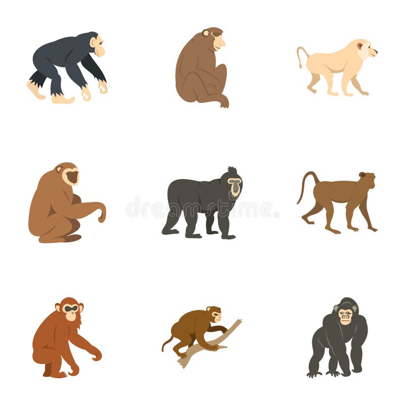 Gatunki małpi ikona set, mieszkanie styl ilustracji Gatunki małpi ikona set, mieszkanie styl ilustracji
