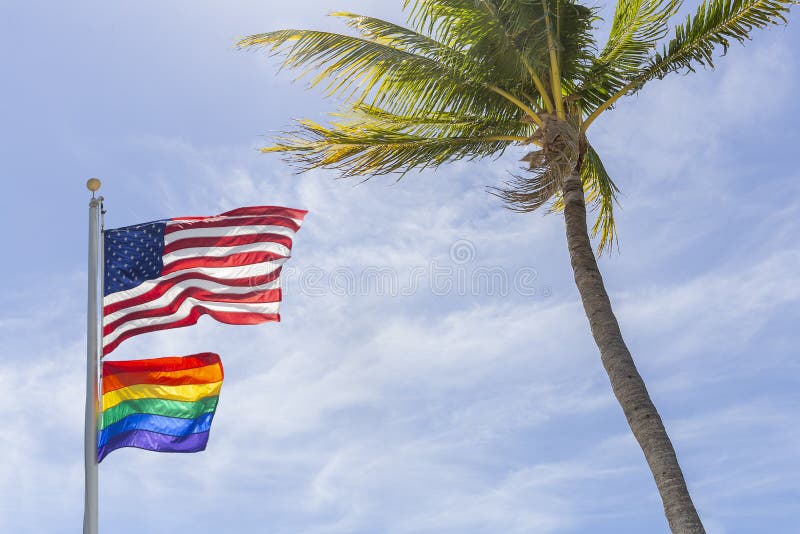 Gay Pride flaga i amerykanin latamy wysoko przy kokosowy drzewko palmowe obraz royalty free Gay Pride flaga i amerykanin latamy wysoko przy kokosowy drzewko palmowe obraz royalty free