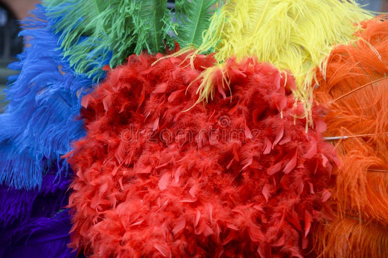 Gay Pride Rainbow Feathers Close-Up Stock Image - Image of horizontal ...