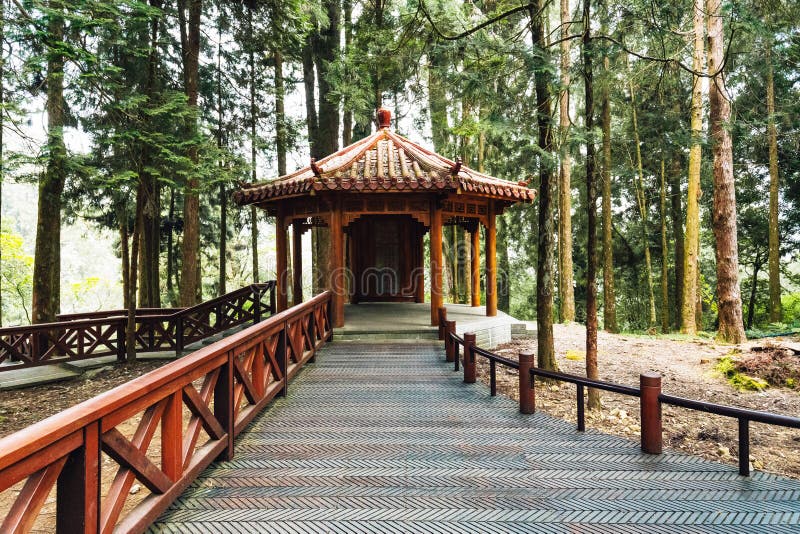 Gazebo cinese con gli alberi di cedro giapponese nella foresta in Alishan Forest Recreation Area nazionale nella contea di Chiayi immagine stock libera da diritti Gazebo cinese con gli alberi di cedro giapponese nella foresta in Alishan Forest Recreation Area nazionale nella contea di Chiayi immagine stock libera da diritti