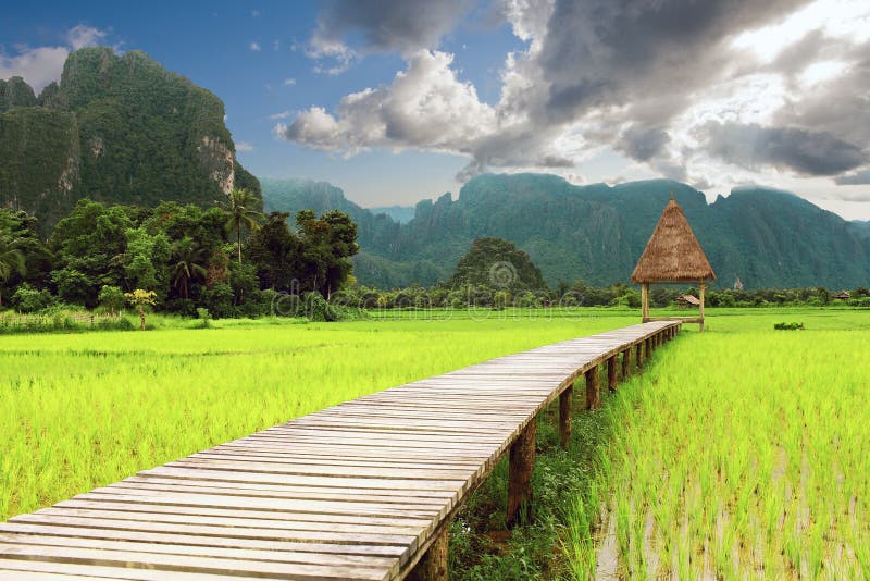 Gazebo e risaie di legno a Vang Vieng, Loas fotografia stock libera da diritti Gazebo e risaie di legno a Vang Vieng, Loas fotografia stock libera da diritti
