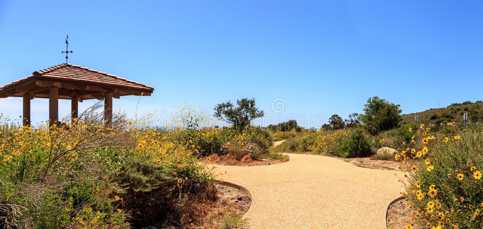 Hiking  Crystal Cove