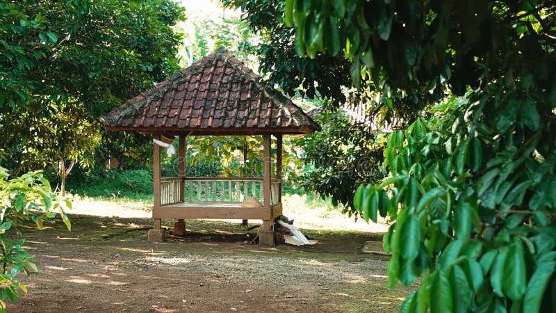 Gazebo serein dans une verdure luxuriante clips vidéos
