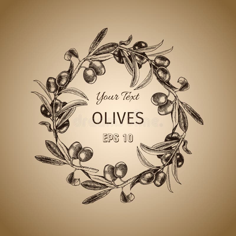 Gałązka oliwna wianek Rocznika karciany projekt z ręka rysującym drzewa oliwnego nakreśleniem Wektorowa botaniczna ilustracja royalty ilustracja Gałązka oliwna wianek Rocznika karciany projekt z ręka rysującym drzewa oliwnego nakreśleniem Wektorowa botaniczna ilustracja royalty ilustracja