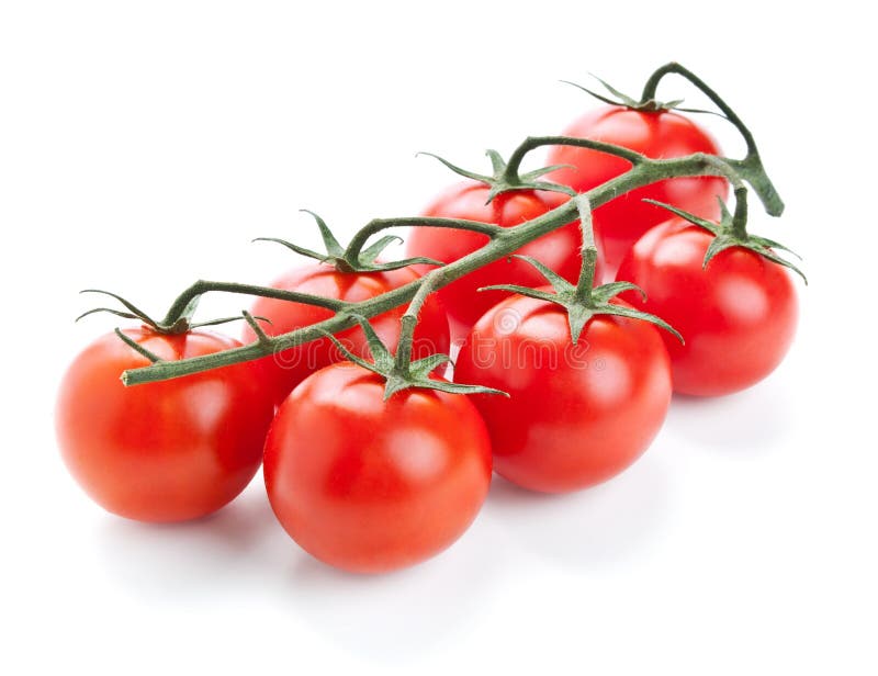 Gałązka świeży czereśniowy pomidor na bielu