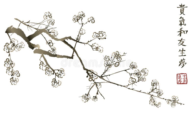 Gałąź kwitnąć Sakura sakura czereśniowy japoński drzewo ilustracji Gałąź kwitnąć Sakura sakura czereśniowy japoński drzewo ilustracji