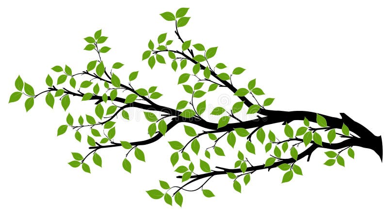 Gałąź sylwetka, Wektorowe grafika ilustracji Gałąź sylwetka, Wektorowe grafika ilustracji