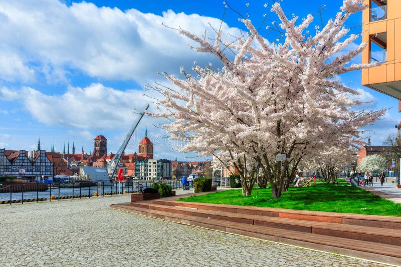 Gdansk poland april 2024 : Våren i huvudstaden Gdansk vid floden Poland vid motlawa royaltyfria bilder