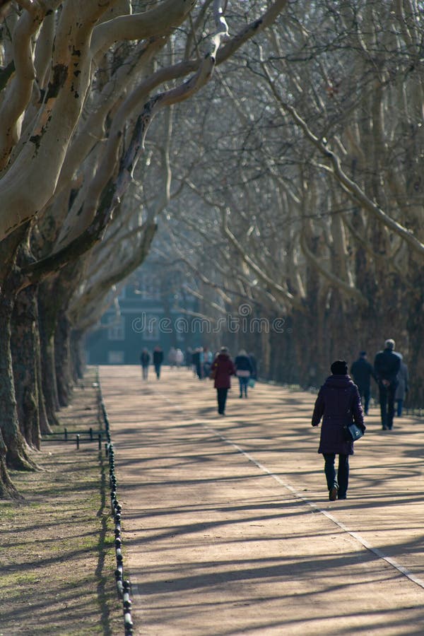 Gdynia, Pomorskie / Poland - February, 27, 2019:Kasprowicz Park in Szczecin. Walking pedestrians on park alleys royalty free stock photography Gdynia, Pomorskie / Poland - February, 27, 2019:Kasprowicz Park in Szczecin. Walking pedestrians on park alleys royalty free stock photography