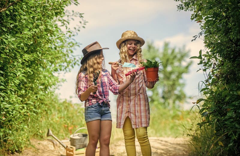 Effectief steno Beven Geadorabele Meisjes in Hoeden Waar Planten Worden Geplant Kinderbroers En  Zussen Die Plezier Hebben in De Boerderij Eco-landbouwc Stock Foto - Image  of weinig, landbouwer: 199259166