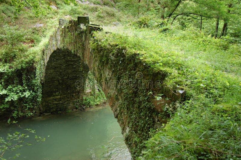 Aged Bridge and Tree with Vegatation. Leitzaran Valley, Navarra. Spain. Aged Bridge and Tree with Vegatation. Leitzaran Valley, Navarra. Spain