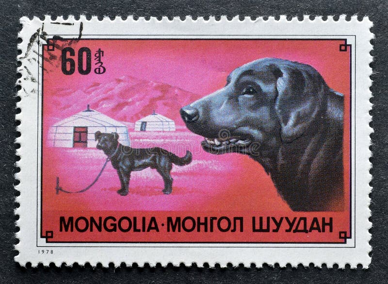 Cancelled postage stamp printed by Mongolia, that shows Mongolian Domestic Dog Canis lupus familiaris, circa 1978. Cancelled postage stamp printed by Mongolia, that shows Mongolian Domestic Dog Canis lupus familiaris, circa 1978.