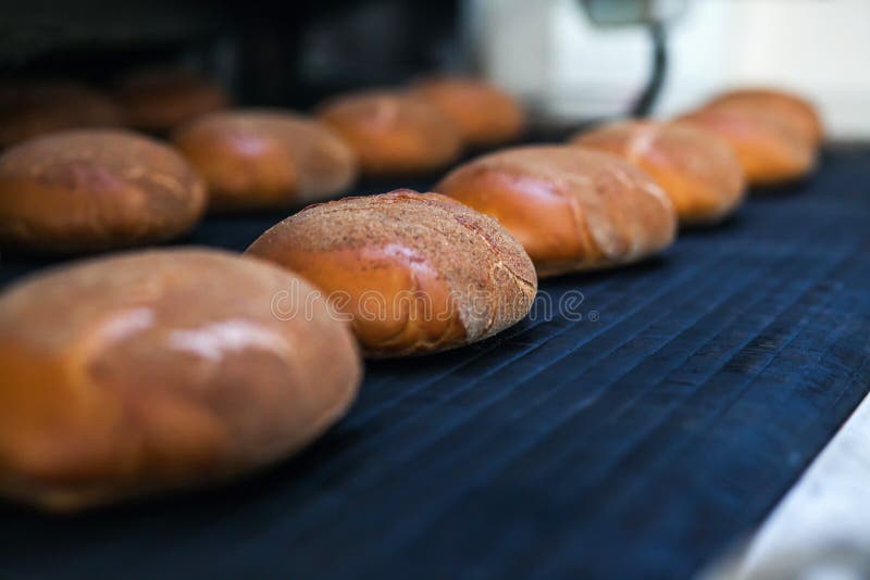 Gebackene Brote auf der Fertigungsstraße an der Bäckerei stockbilder Gebackene Brote auf der Fertigungsstraße an der Bäckerei stockbilder