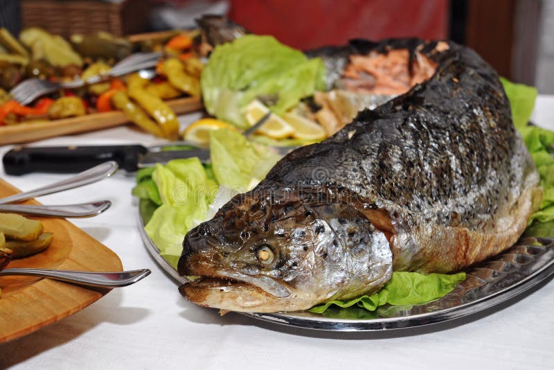 Gebackene Forelle Mit Salat Schmücken Stockfoto - Bild von salat ...