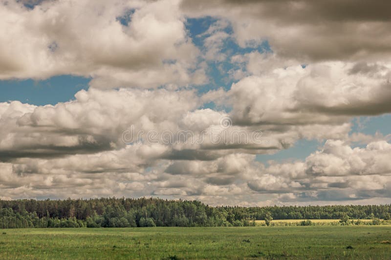 Gebied in het bos dat door de zon wordt aangestoken die uit van onder CLO komen stock foto Gebied in het bos dat door de zon wordt aangestoken die uit van onder CLO komen stock foto