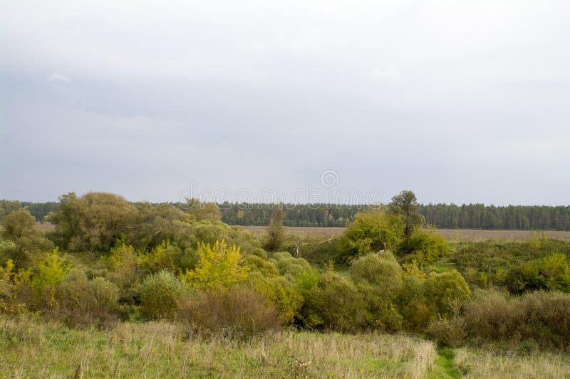 Gebieden en bossen in de herfst in Centraal Rusland - het bovenleer bereikt van de Oka-Rivier royalty-vrije stock afbeelding Gebieden en bossen in de herfst in Centraal Rusland - het bovenleer bereikt van de Oka-Rivier royalty-vrije stock afbeelding