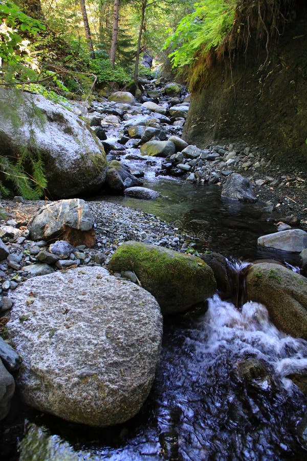 A stream runs through a forested valley with rocks and boulders visible in the water in the Trinity Alps of northern California. A stream runs through a forested valley with rocks and boulders visible in the water in the Trinity Alps of northern California.