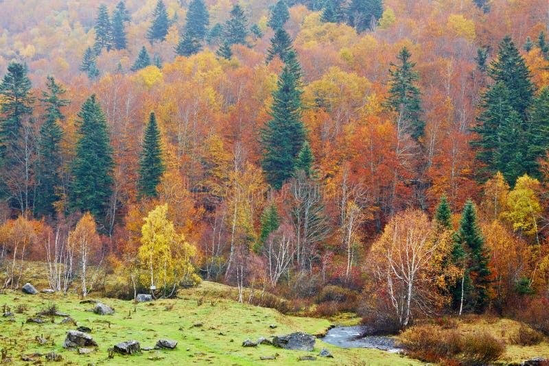 Autumn colors in the little mountain river. Autumn colors in the little mountain river