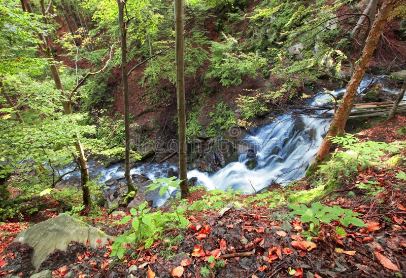 Gebirgsflußwasserfall im wilden Karpatenwald lizenzfreies stockfoto