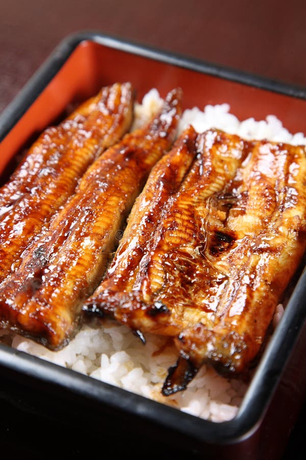 Gebratener Aal Auf Reis, Unaju, Japanische Unagi Küche Stockfoto - Bild
