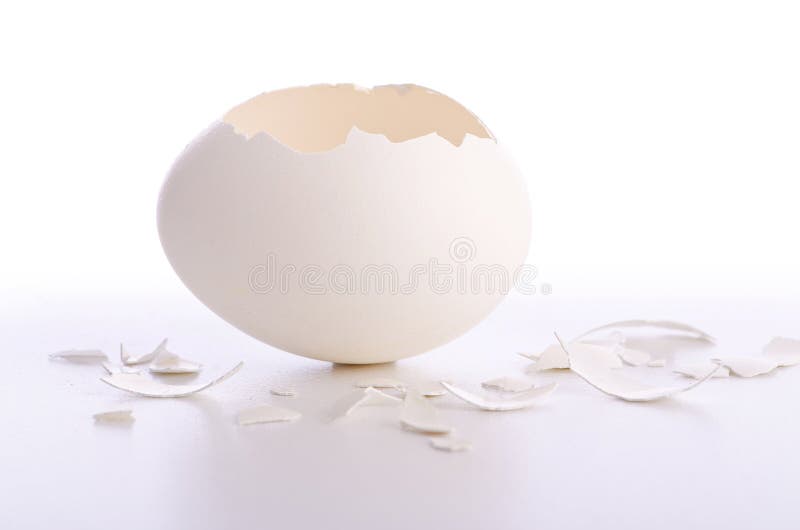 Broken egg isolated on the white. Broken egg isolated on the white