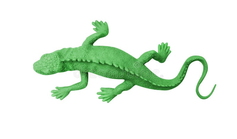 Gecko en caoutchouc vert de vue supérieure d'isolement sur le fond blanc avec le chemin de coupure images libres de droits Gecko en caoutchouc vert de vue supérieure d'isolement sur le fond blanc avec le chemin de coupure images libres de droits