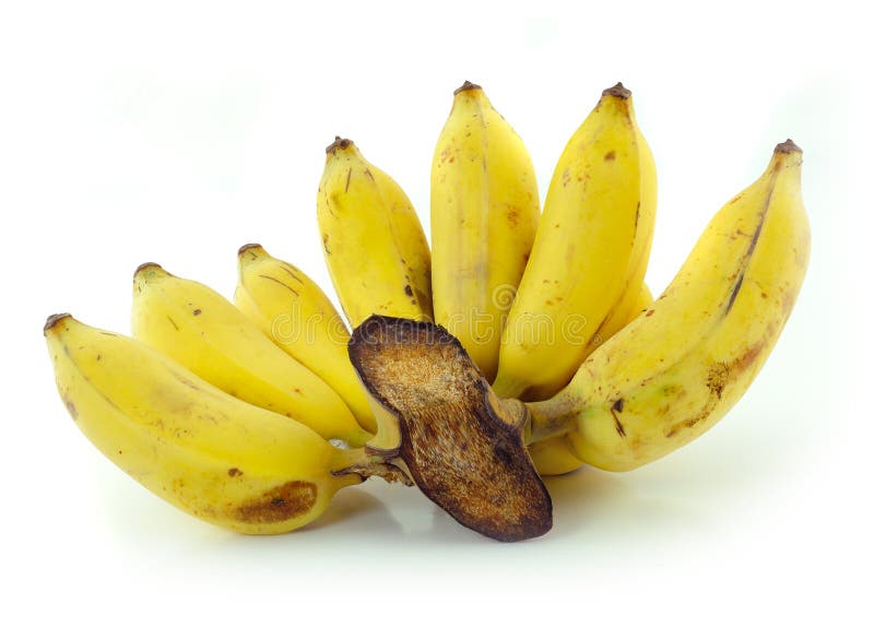 Gecultiveerde banaan royalty-vrije stock afbeeldingen Gecultiveerde banaan royalty-vrije stock afbeeldingen