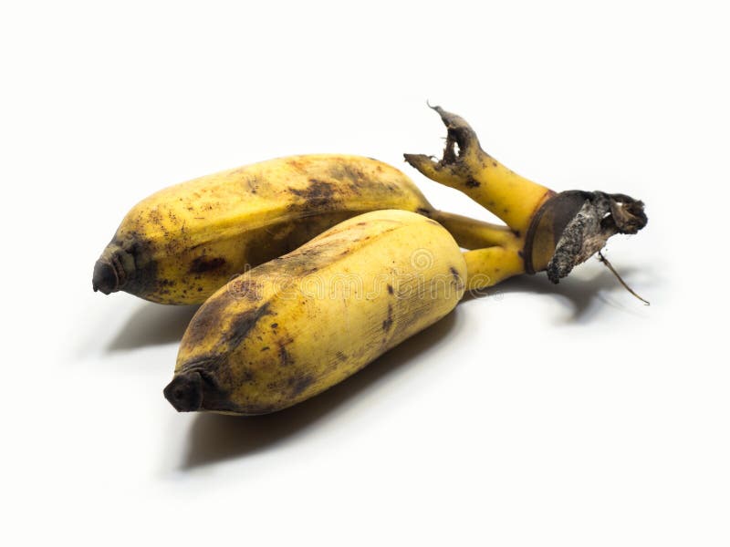 Gecultiveerde banaan op de witte Geïsoleerde achtergrond & het knippen deel De geelachtige en zwarte kleur wordt veroorzaakt door royalty-vrije stock afbeelding Gecultiveerde banaan op de witte Geïsoleerde achtergrond & het knippen deel De geelachtige en zwarte kleur wordt veroorzaakt door royalty-vrije stock afbeelding