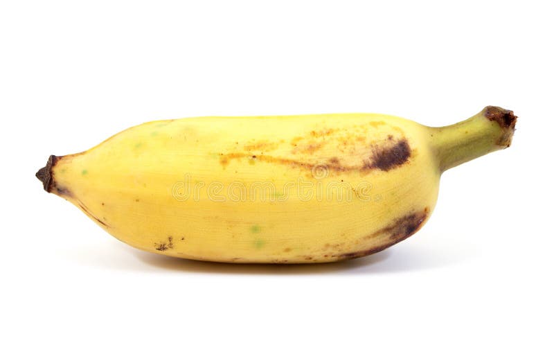 Gecultiveerde die banaan op witte achtergrond wordt ge?soleerd E r royalty-vrije stock foto Gecultiveerde die banaan op witte achtergrond wordt ge?soleerd E r royalty-vrije stock foto