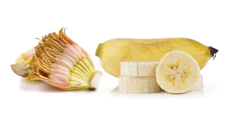 Gecultiveerde die banaan op witte achtergrond wordt geïsoleerd stock fotografie Gecultiveerde die banaan op witte achtergrond wordt geïsoleerd stock fotografie