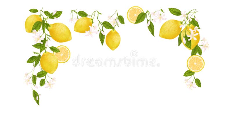 Geel citrusvruchtenkader Citroen, Bladeren en Bloemen Tropische illustratieillustratie Groene Achtergrond