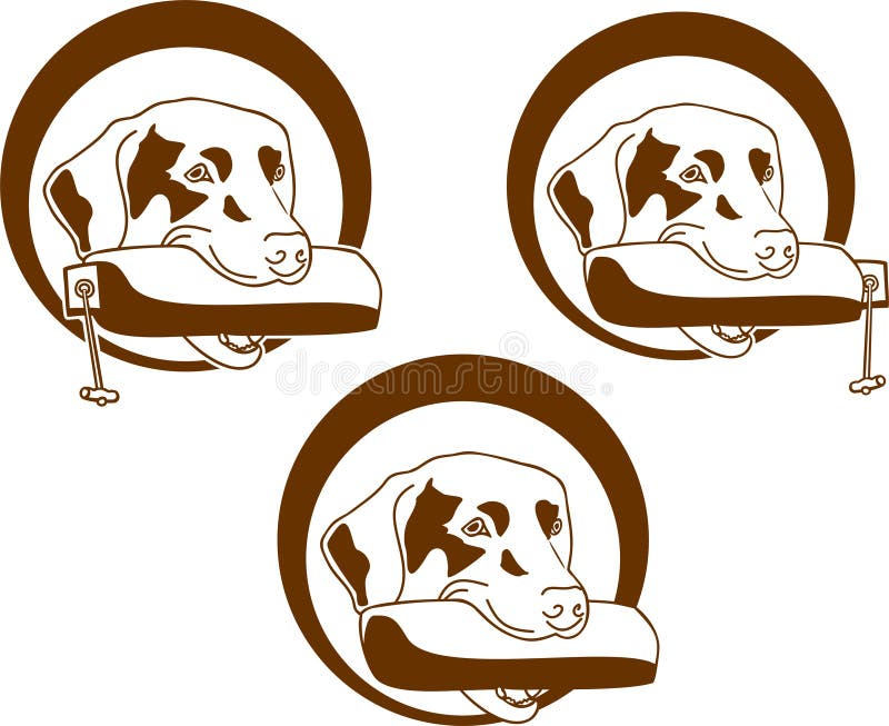 Geel Labrador op de witte achtergronden vector illustratie Geel Labrador op de witte achtergronden vector illustratie