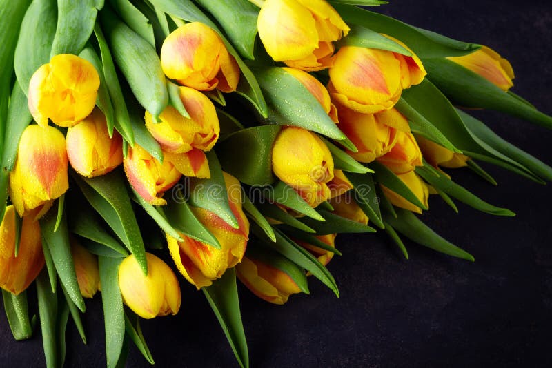 Geel rood de tulpenboeket van de de lentebloem royalty-vrije stock afbeeldingen Geel rood de tulpenboeket van de de lentebloem royalty-vrije stock afbeeldingen
