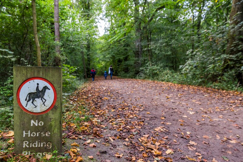 Geen Paardrijdenteken in Engels Bospark Stock Foto Image of