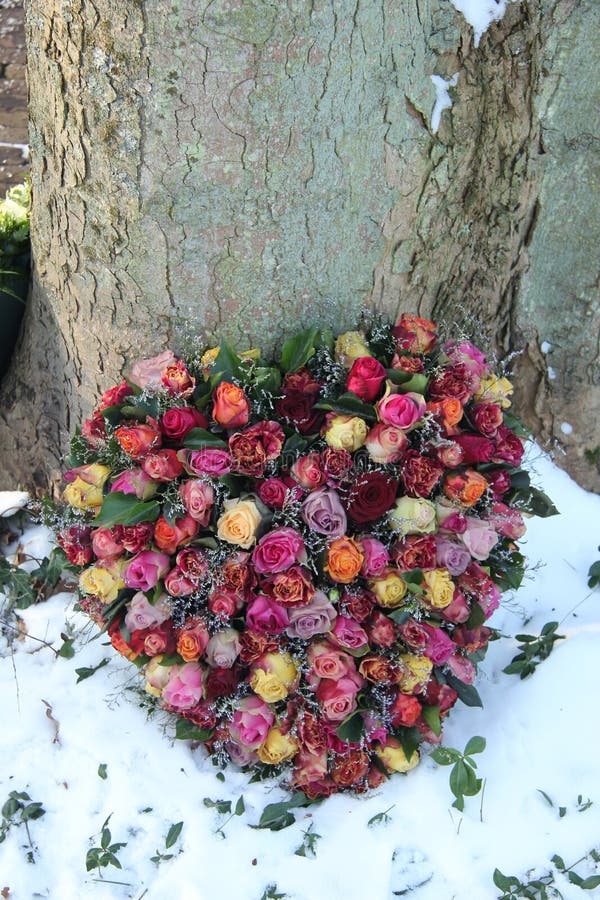Geformte symathy Blumen des Herzens stockfotos Geformte symathy Blumen des Herzens stockfotos