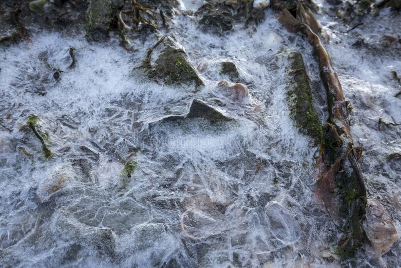 Gefrieren Sie auf Oberteilen an den Silber-Sanden auf den Strand setzen, Milford, Connecticut stockfotografie Gefrieren Sie auf Oberteilen an den Silber-Sanden auf den Strand setzen, Milford, Connecticut stockfotografie