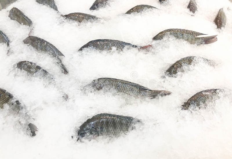 Gefrorene Fische bereiten für Verkauf am Markt vor stockfotografie Gefrorene Fische bereiten für Verkauf am Markt vor stockfotografie