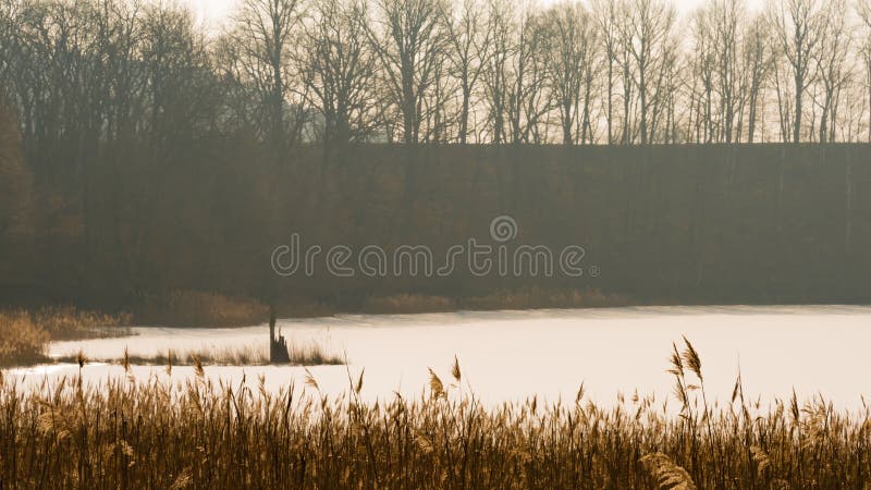 Gefrorener See und ein Stummel eines Baums lizenzfreie stockfotografie Gefrorener See und ein Stummel eines Baums lizenzfreie stockfotografie