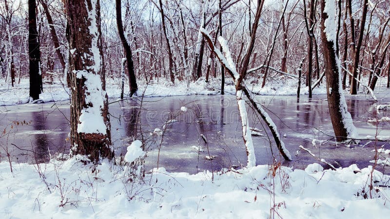 Gefrorener Teich stockfoto. Bild von sonnig, eingefroren 62702428