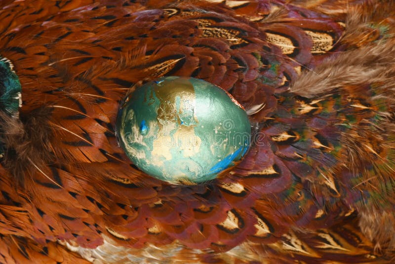 Gefärbtes Grün mit Goldei auf Fasanfederhintergrund Boho-Zauntritt Verzierte Eier für Ostern stockfotografie Gefärbtes Grün mit Goldei auf Fasanfederhintergrund Boho-Zauntritt Verzierte Eier für Ostern stockfotografie