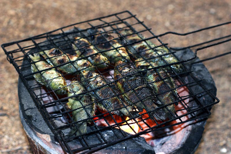 Gegrillte Fische, thailändische Lebensmittelart gegrillte Kletterfisch-Fische auf Gitter auf Holzkohlenofen, Asien-Fischfutter, A