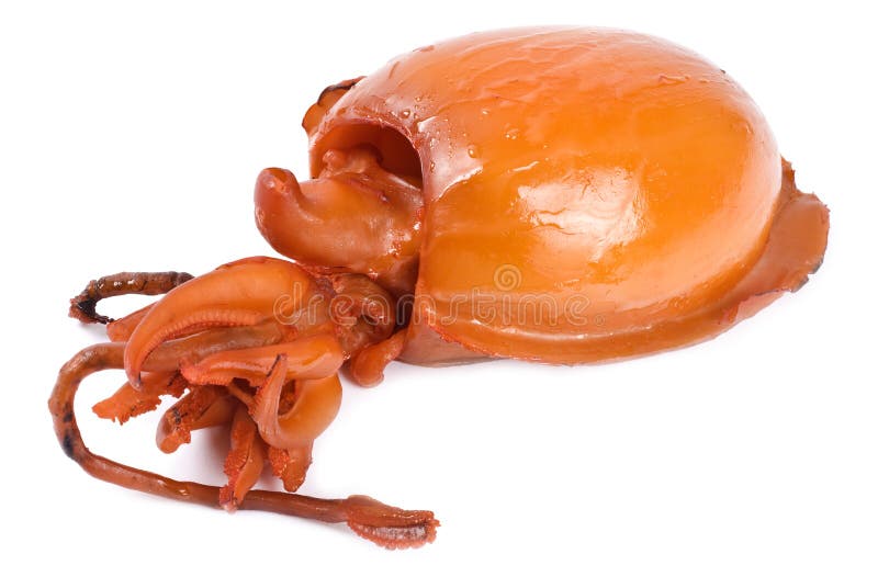 Gegrillte Kopffüßer lizenzfreie stockfotografie Gegrillte Kopffüßer lizenzfreie stockfotografie