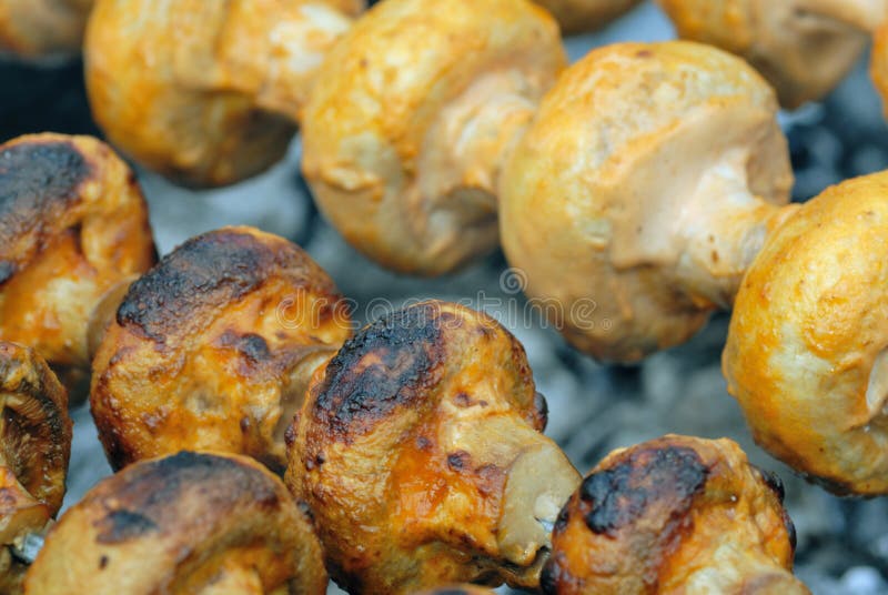 Gegrillte Pilze stockbild. Bild von picknick, pilz, gesund - 13544809