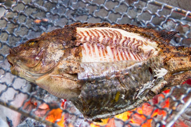 Gegrillter Tilapia Mit Salat Stockbild - Bild von küche, gesundheit ...