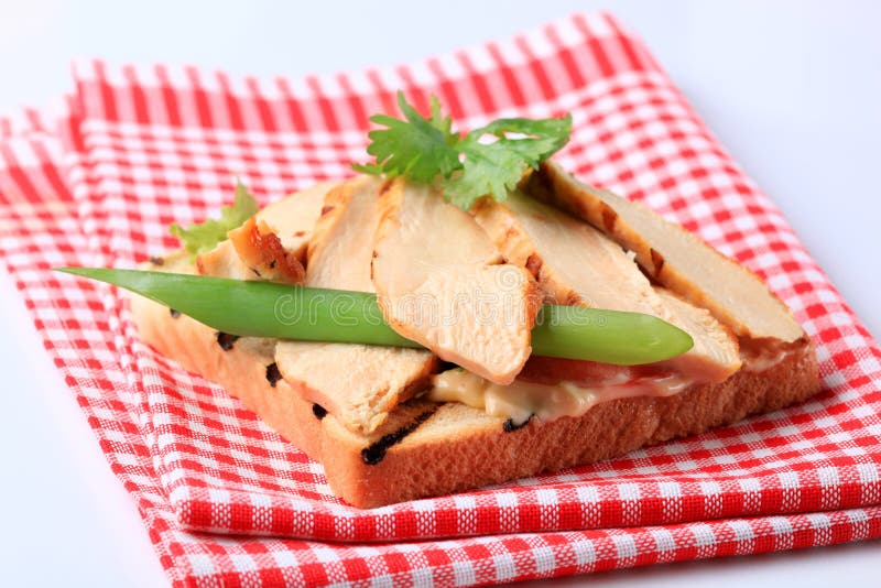 Gegrilltes Truthahnsandwich stockfotografie