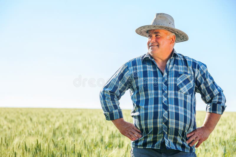 Geheime männliche Mitarbeiterin, die mit Neugier aussieht, während sie auf grünem Feld steht lizenzfreies stockfoto
